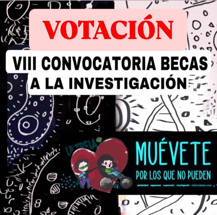 VIII AXUDAS Á INVESTIGACIÓN MUÉVETE POR LOS QUE NO PUEDEN